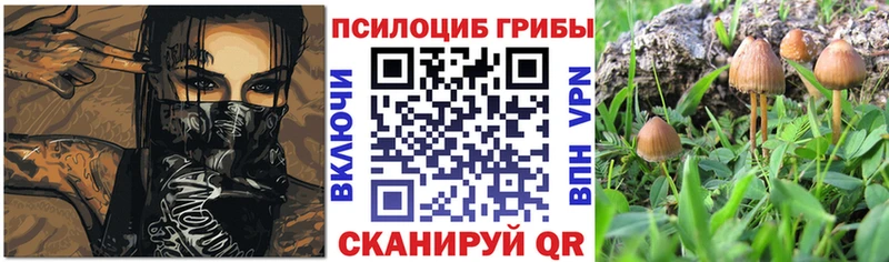 Галлюциногенные грибы мицелий  Называевск 